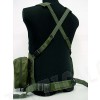 FSBE LBV Load Bearing Molle Assault Vest OD