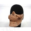 Airsoft Skull Skeleton Half Face Protector Mask Brown