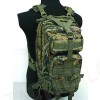 Level 3 Molle Assault Backpack CADPAT Digital Woodland Camo