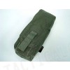 Flyye 1000D Molle Single AK Magazine Pouch Ranger Green