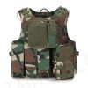 USMC Molle Combat Assault Plate Carrier Vest Camo Woodland