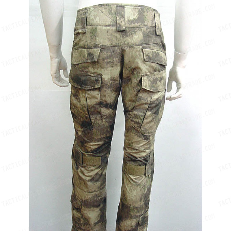 cp track pants
