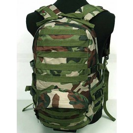 Molle Patrol FSBE Assault Backpack Camo Woodland