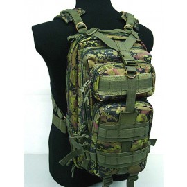 Level 3 Molle Assault Backpack CADPAT Digital Woodland Camo