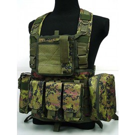 FSBE LBV Load Bearing Molle Assault Vest CADPAT Digital Camo